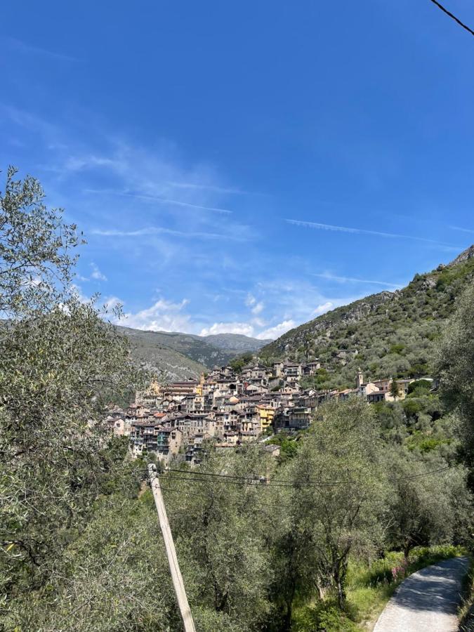 Appartement Cocooning Saorge Dış mekan fotoğraf
